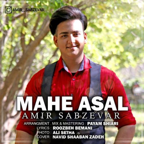 امیر سبزوار ماه عسل